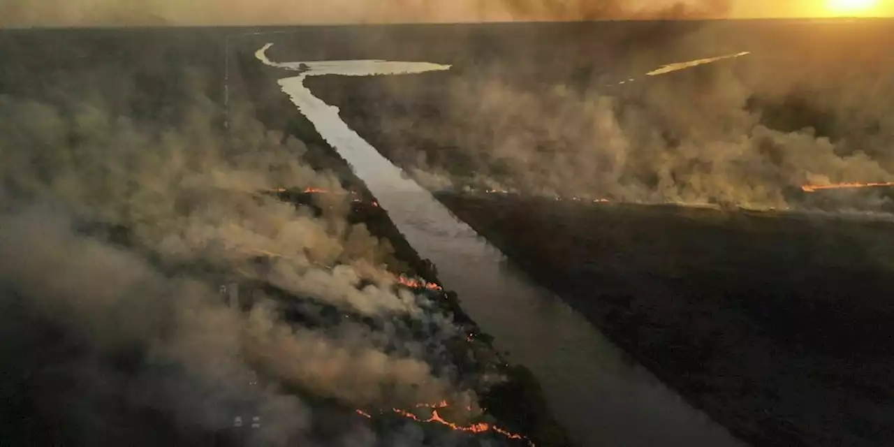 Brände in Argentinien: Das Feuer und der Fluss