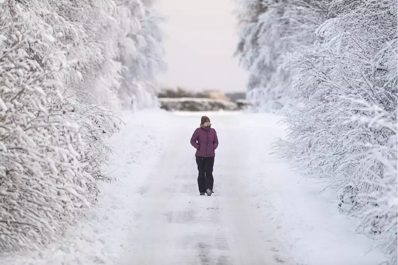 Yellow weather warning for snow & ice on White Christmas amid travel chaos