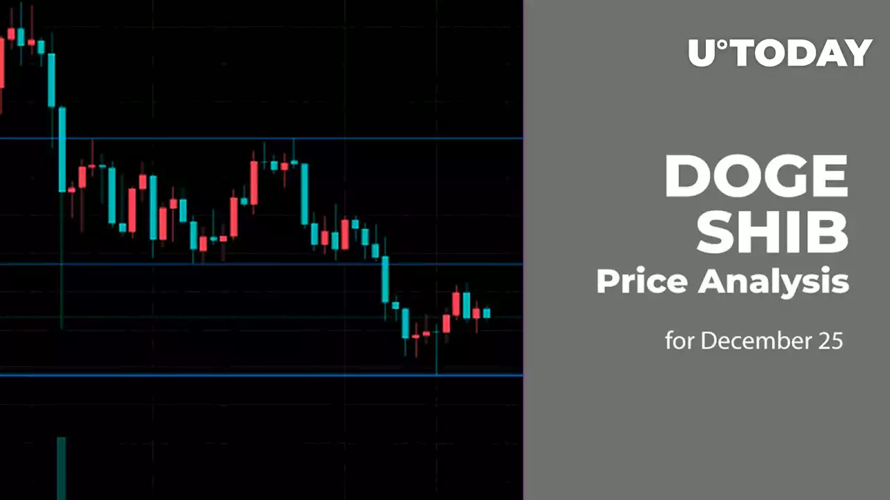 DOGE and SHIB Price Analysis for December 25