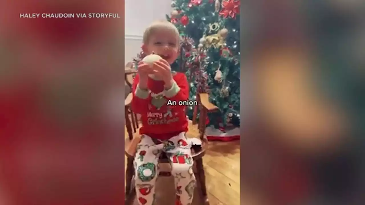 This toddler got an onion as prank gift for Christmas - and he absolutely loved it