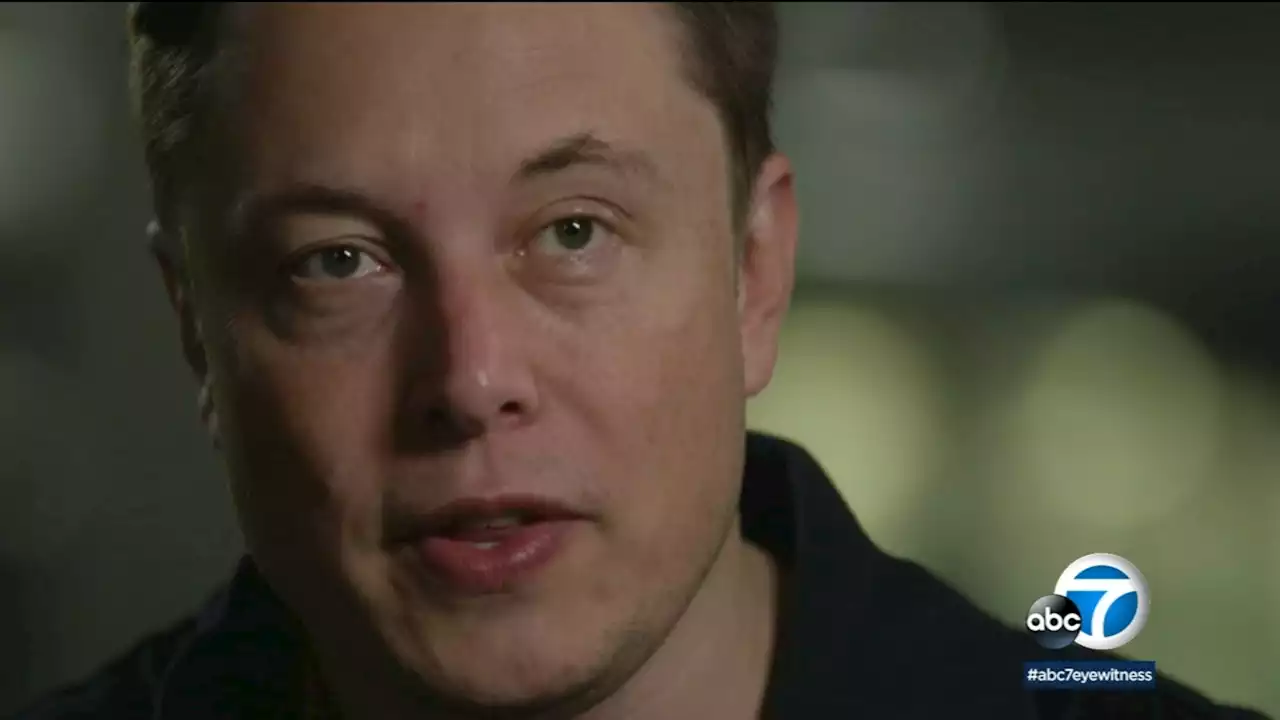 Elon Musk tells investors he'll pause on Tesla stock sales