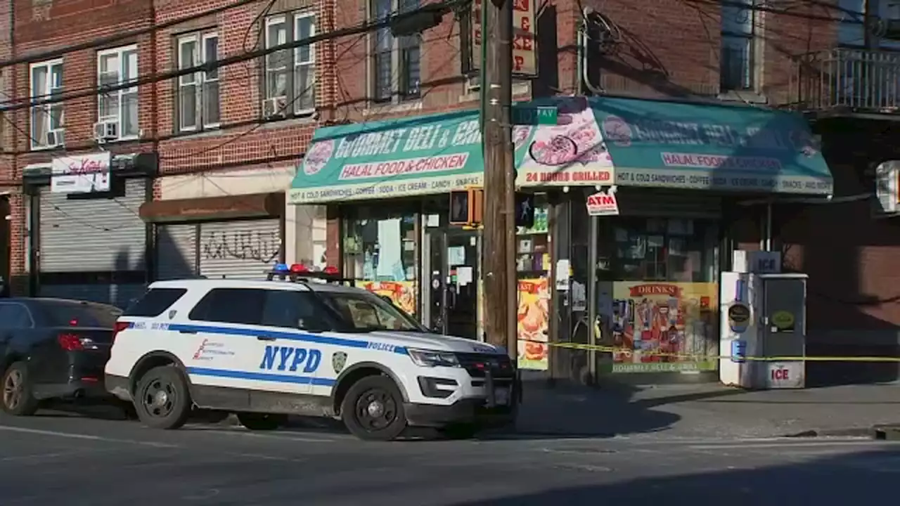 24-year-old man shot in leg inside Queens deli; police searching for suspect