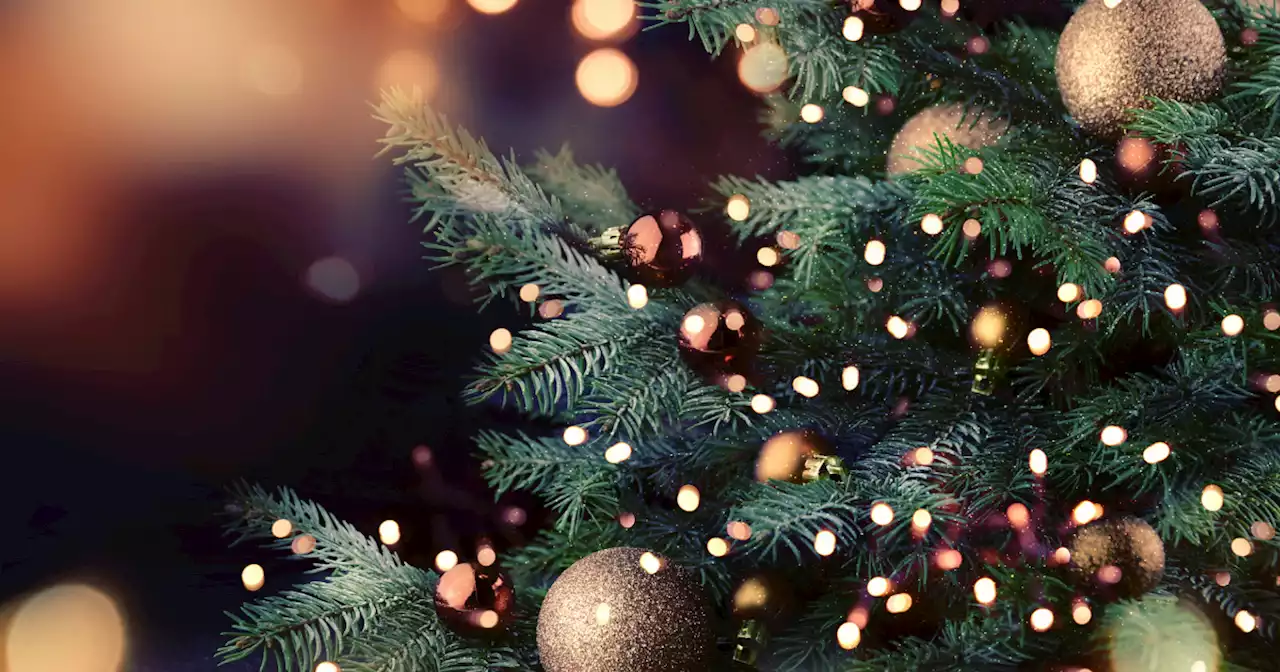 Voici la date exacte à laquelle vous devez retirer votre sapin de Noël