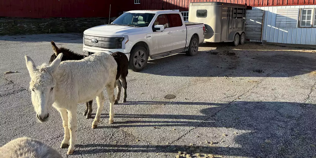 Ford F-150 Lightning Goes to Work as a Farm Truck