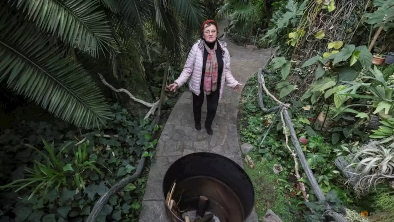 The struggle to save the tropical plants of Kyiv's Botanical Garden