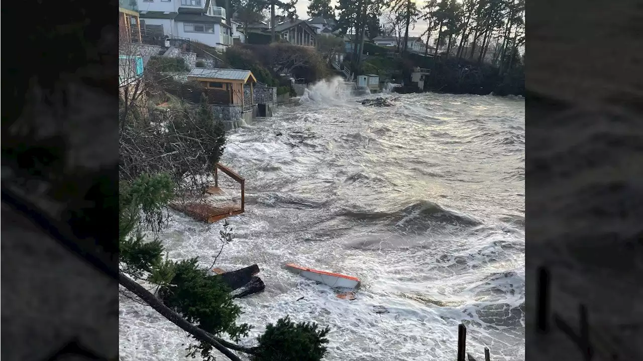 Thousands without power on Vancouver Island as wind wreaks havoc: 'The storm took out my lower deck'