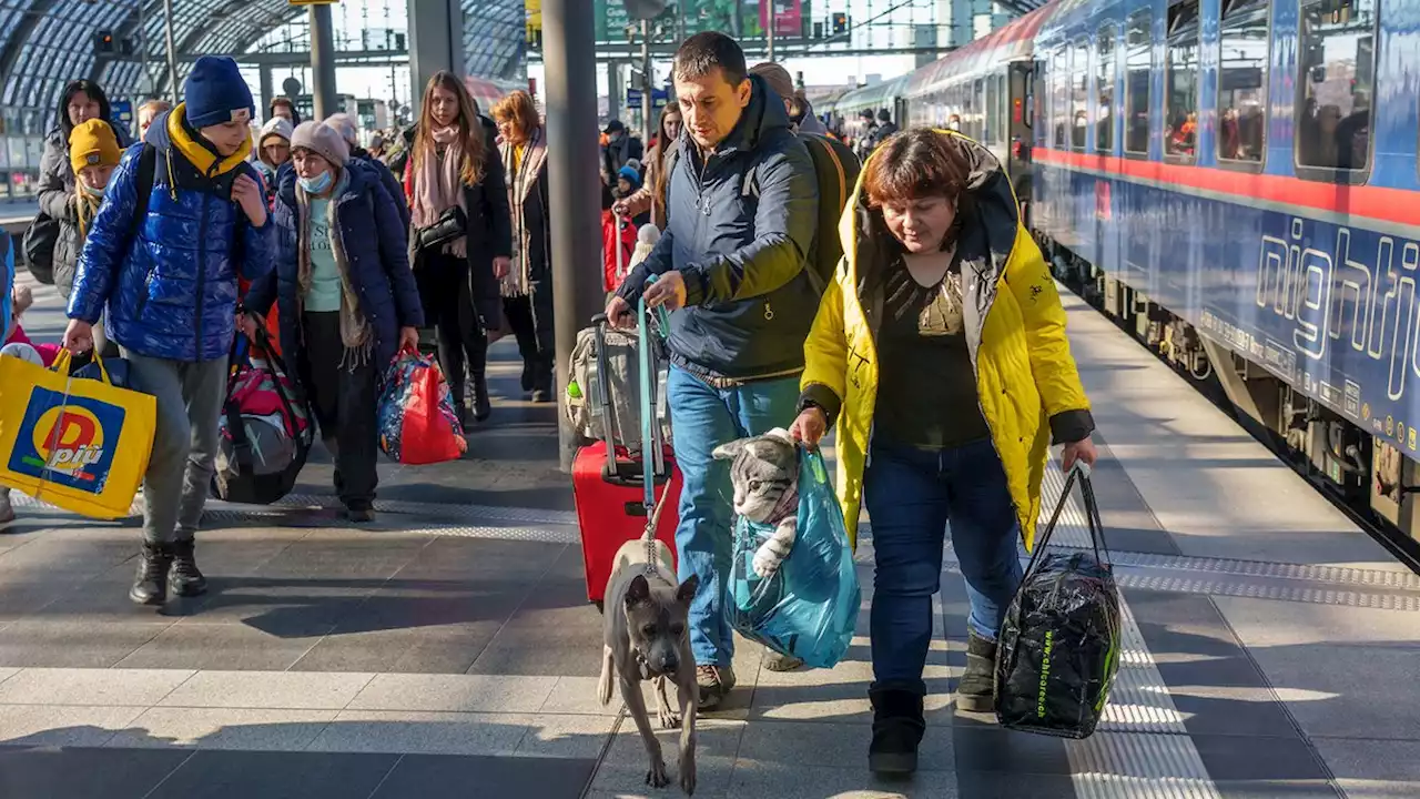 Erhöhter Wohnungsbedarf: Tausende von ukrainischen Flüchtlingen bleiben in Berlin