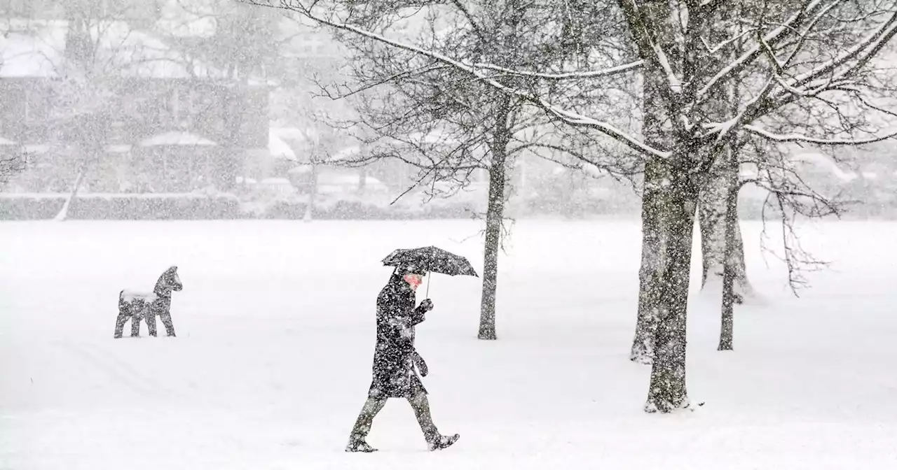 Snow and ice warnings blanket Scotland as two-day alerts threaten travel chaos