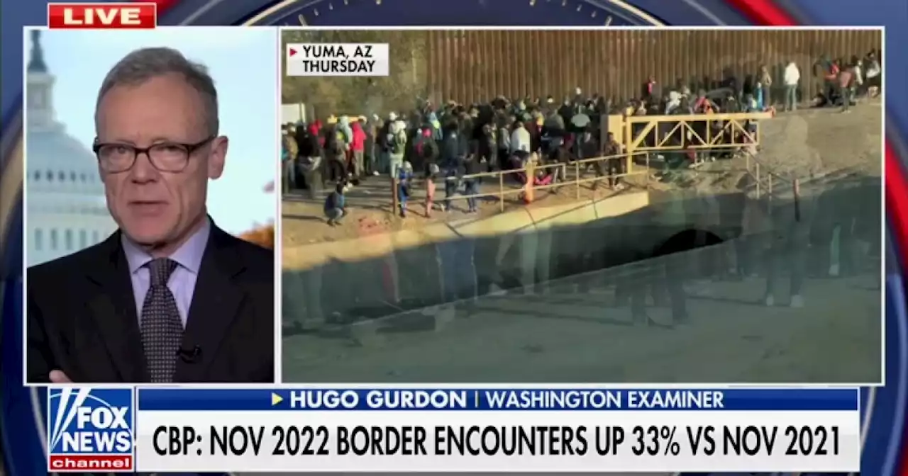 WATCH: Hugo Gurdon warns border crisis is 'going to get a whole lot worse'