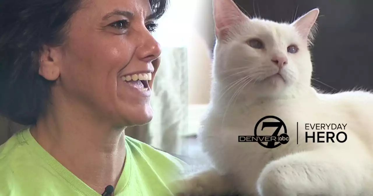 Lifelong love of cats leads Castle Pines woman to help create feline rescue