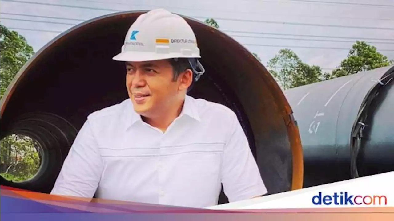 Jadi Dirjen Imigrasi, Silmy Karim Lepas Gaji Ratusan Juta di Krakatau Steel