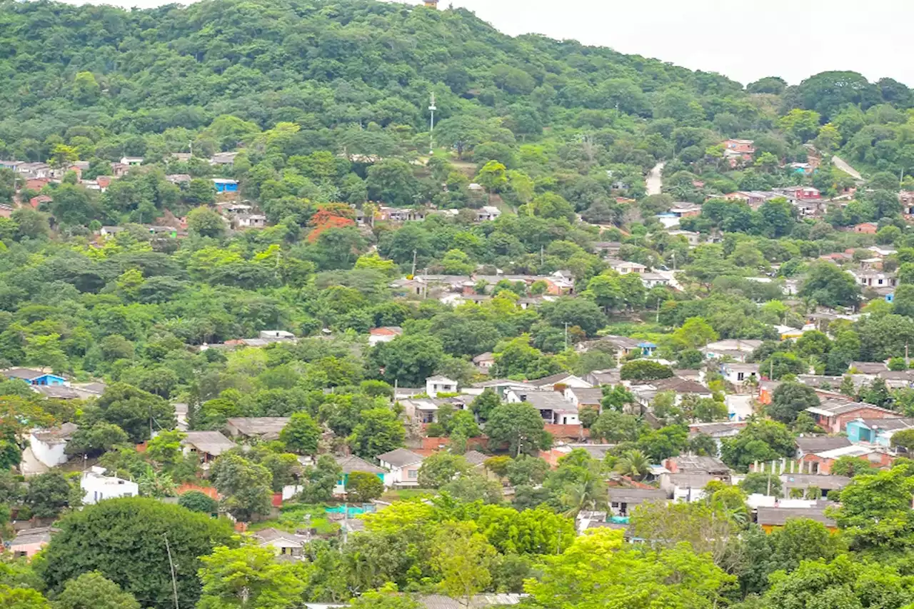 Urbanismo y minería, entre causas de pérdida de bosques en Atlántico