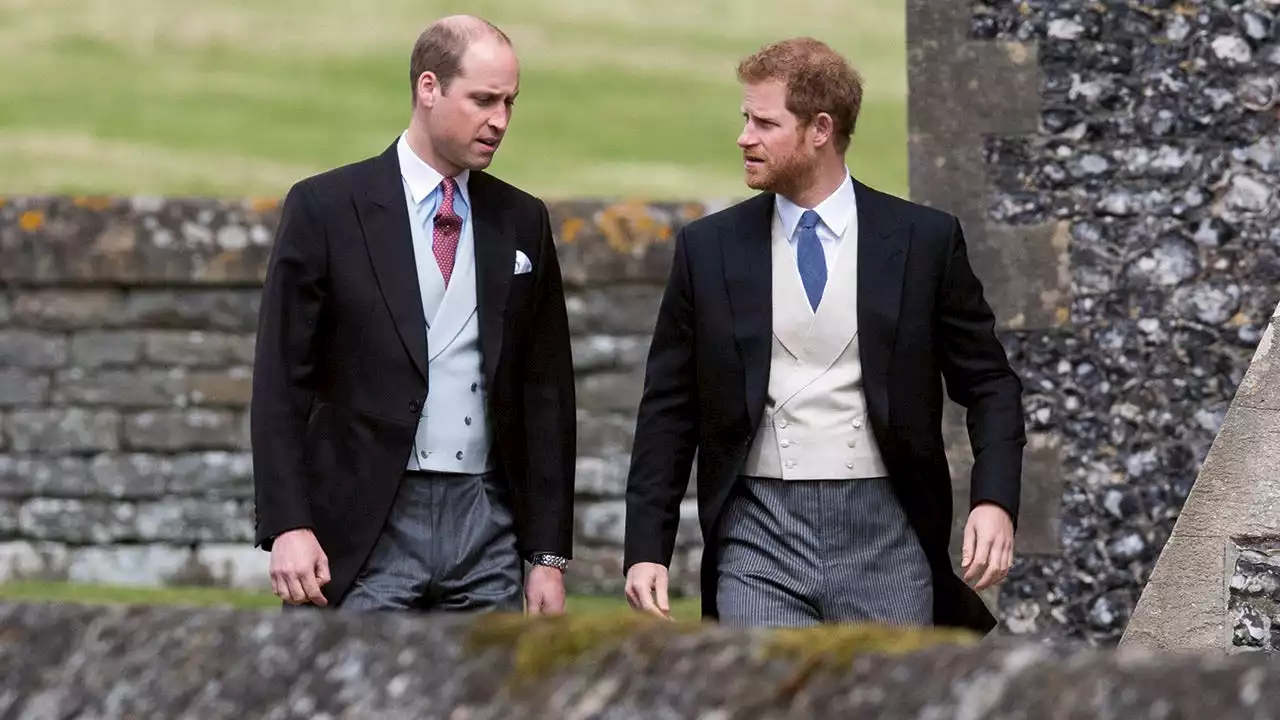 Prince Harry pledged to support Prince William before their feud, author claims: ‘They were inseparable’