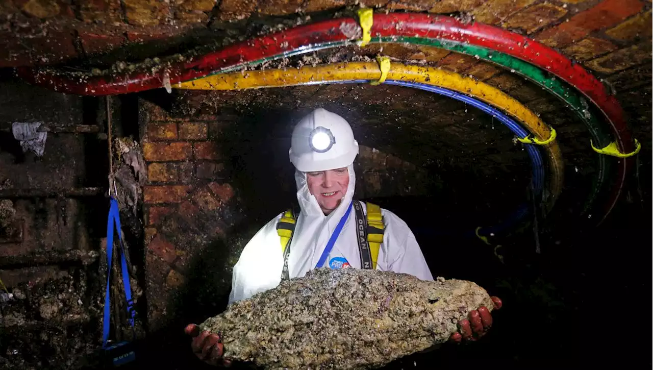 Il est gras, il sent la dinde et il bouche les égouts : alerte au 'fatberg' au Royaume-Uni