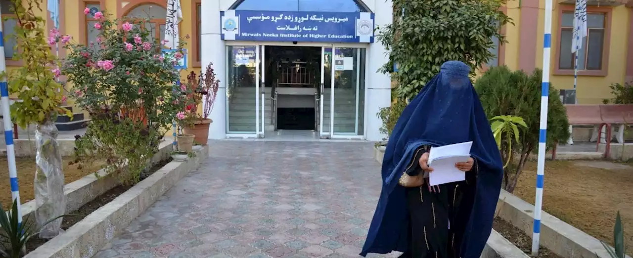 Sette ong sospendono l'attività in Afghanistan dopo il bando talebano sul lavoro delle donne