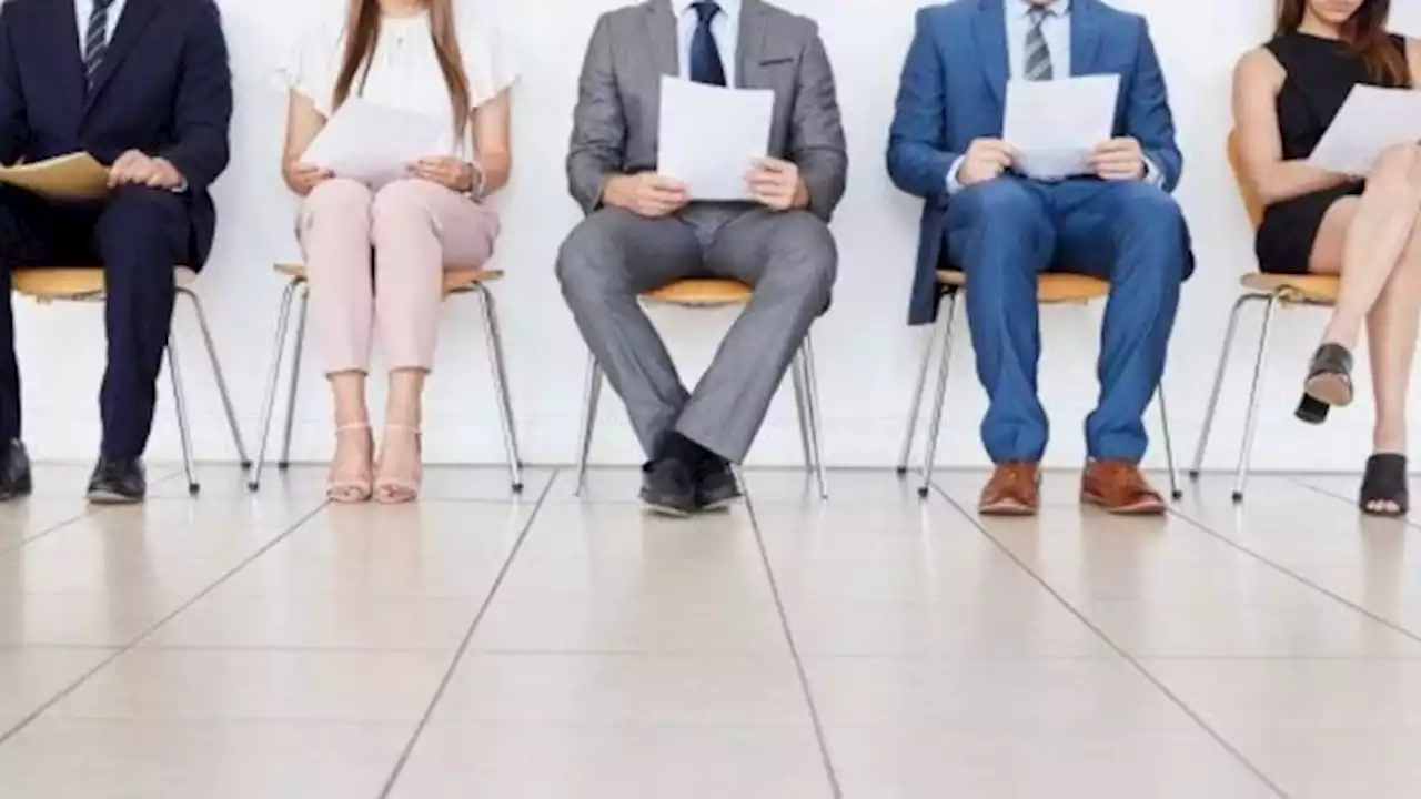 Empleo: los 7 perfiles profesionales más solicitados en 2022