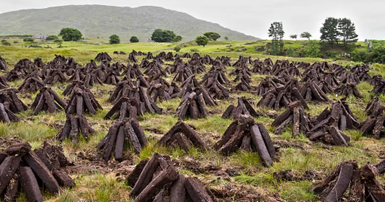 Ireland still exporting peat to Japan and Australia despite restrictions here