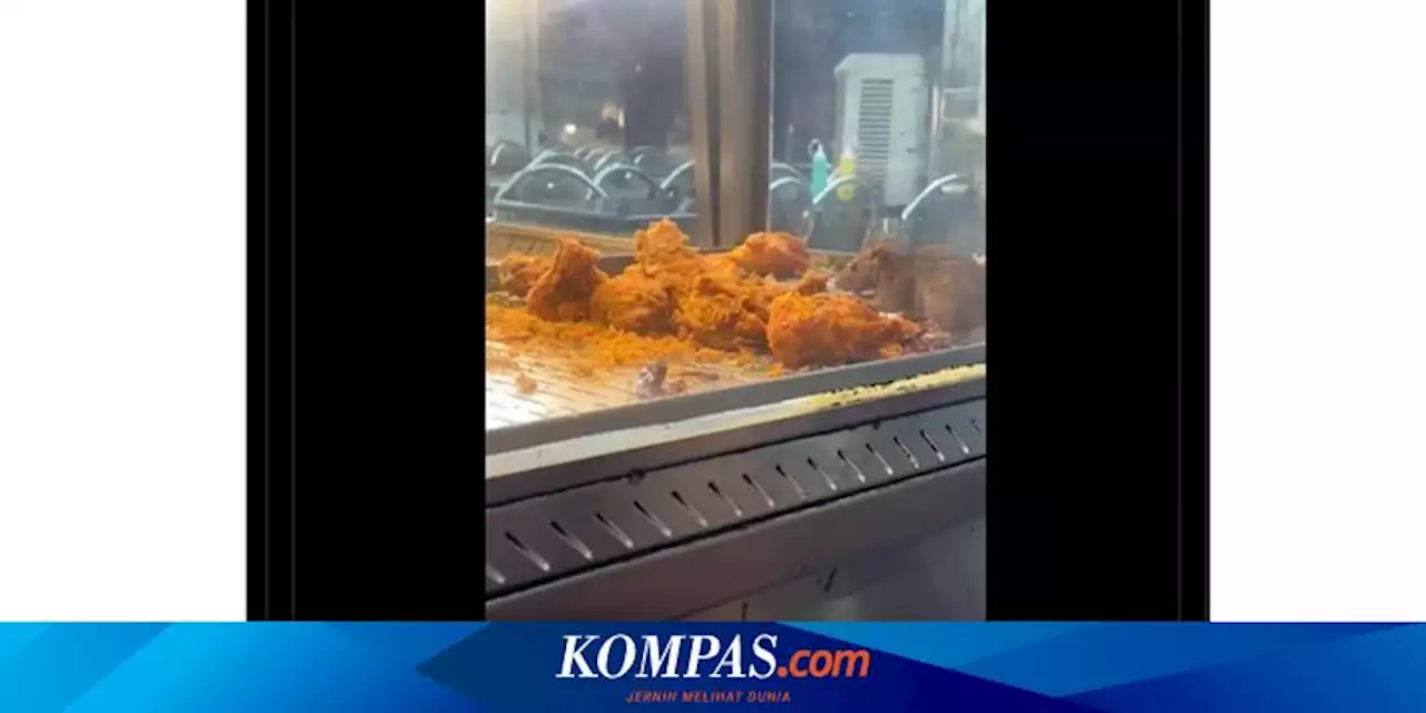 Video Viral Tikus Memakan Ayam Goreng di Etalase, Restoran Ini Ditutup