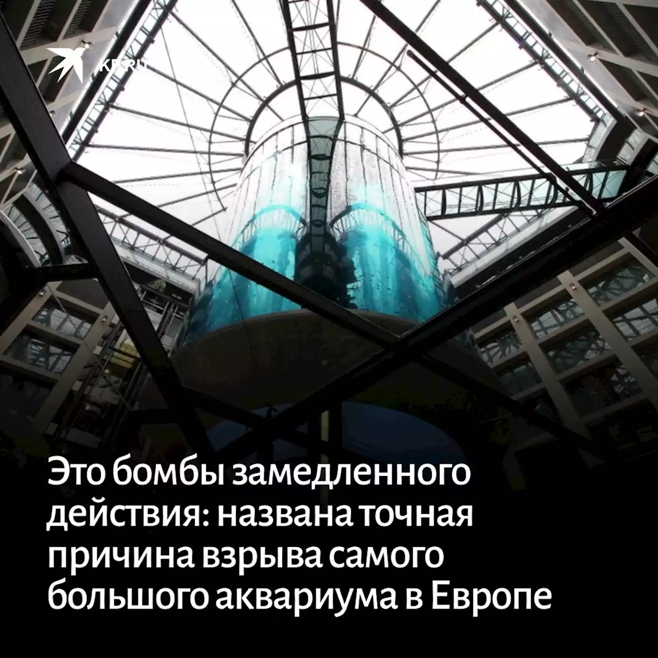 Это бомбы замедленного действия: Названа точная причина взрыва самого большого аквариума в Европе