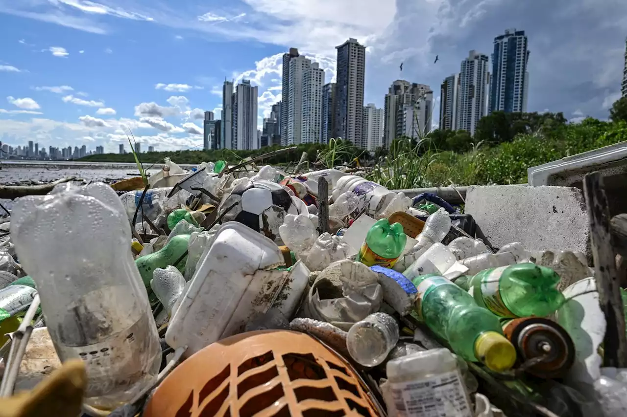 En 2022, des bonnes nouvelles pour le climat malgré le réchauffement