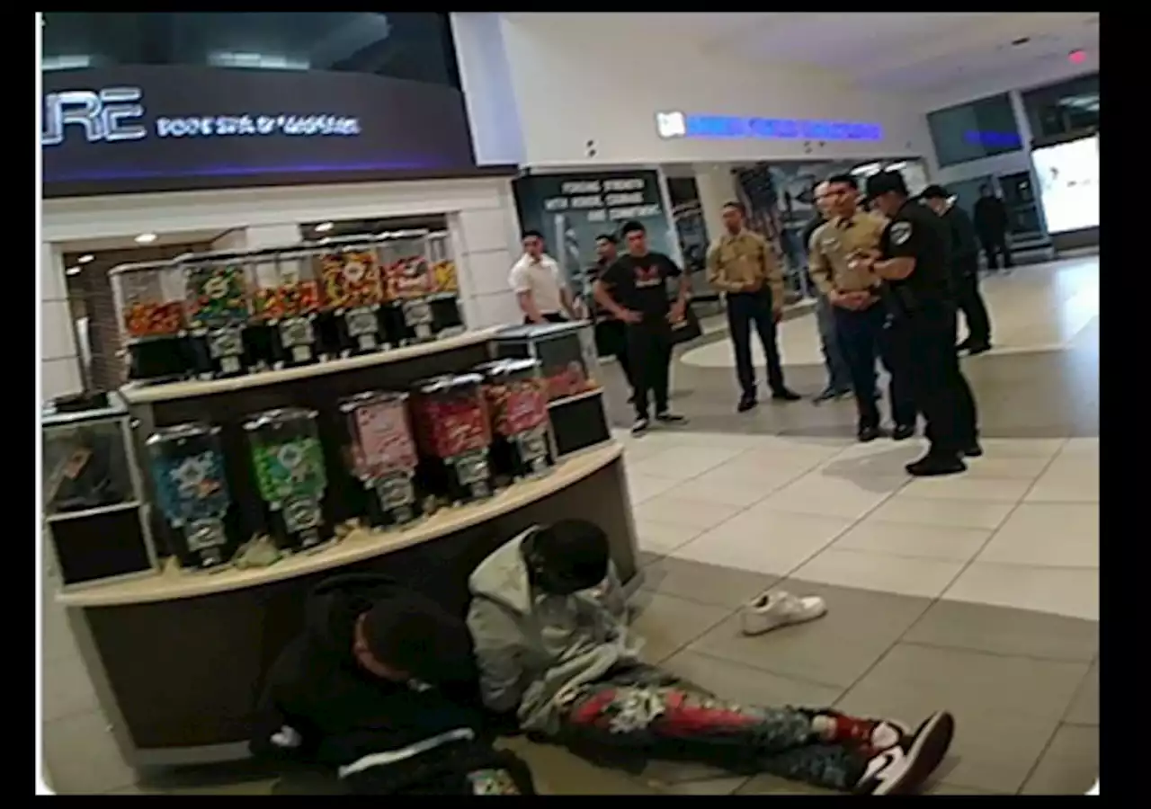 Marines Stop Smash-and-Grab Robbery at Los Angeles Area Mall