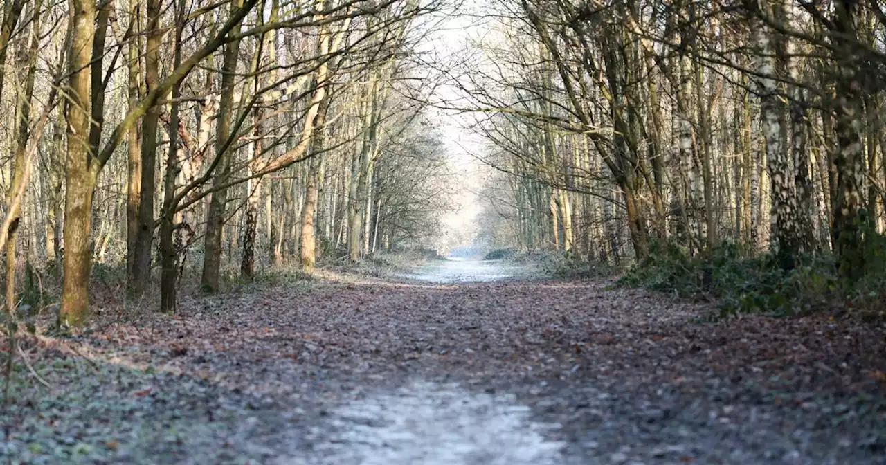 Inside the former tip that's become Manchester's newest nature reserve