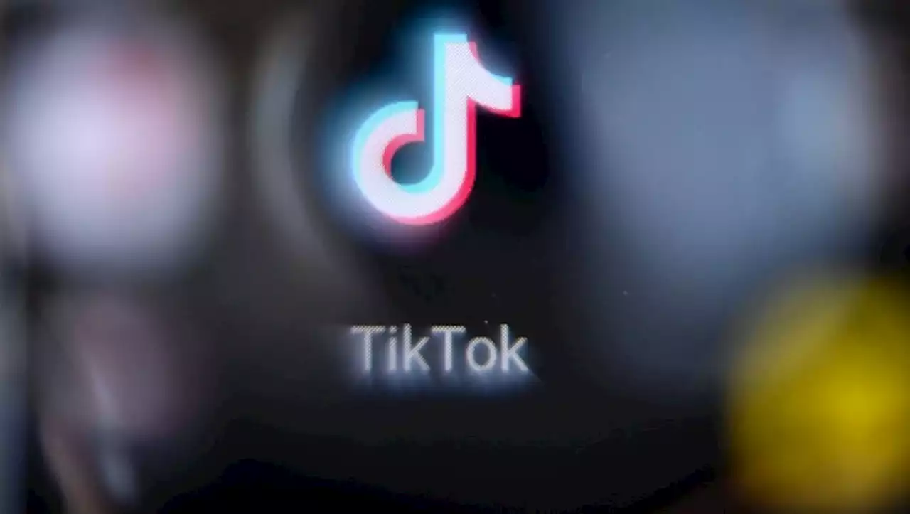 TikTok : voici comment marche l'algorithme du fil 'Pour Toi' en quatre points