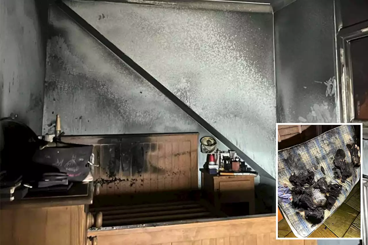 Dog sets English house ablaze on Christmas Eve by turning on hairdryer