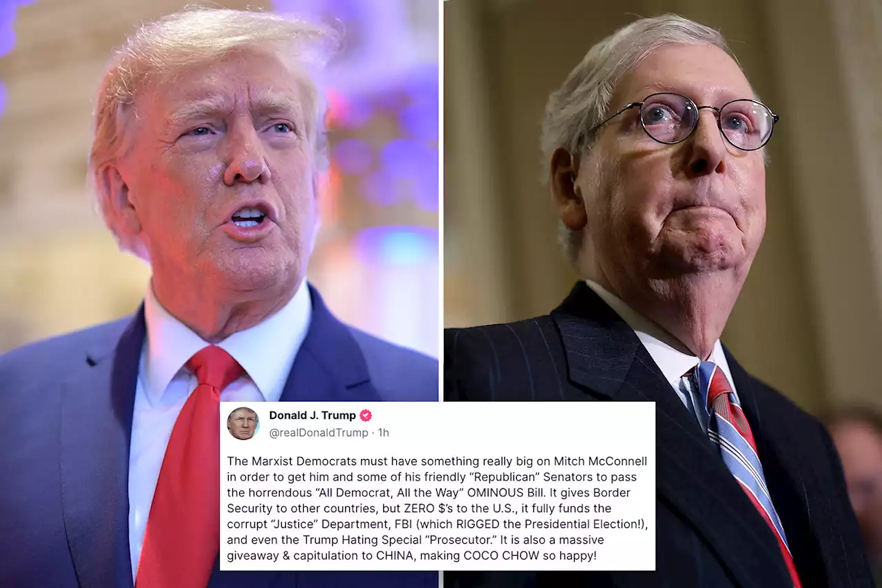 Trump blasts ‘Old Crow’ Mitch McConnell over $1.7T spending bill