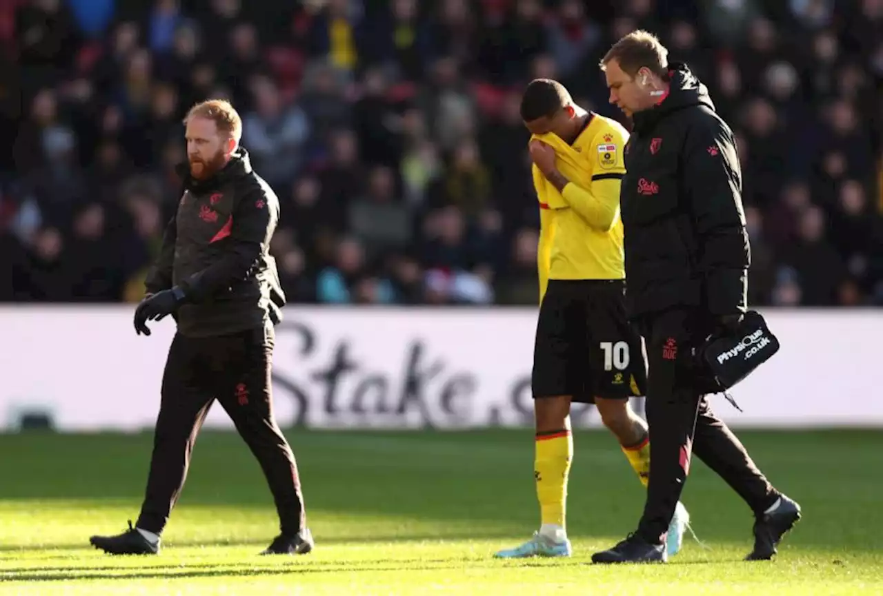 Yet again the Lions roar as Watford give a pussycat performance