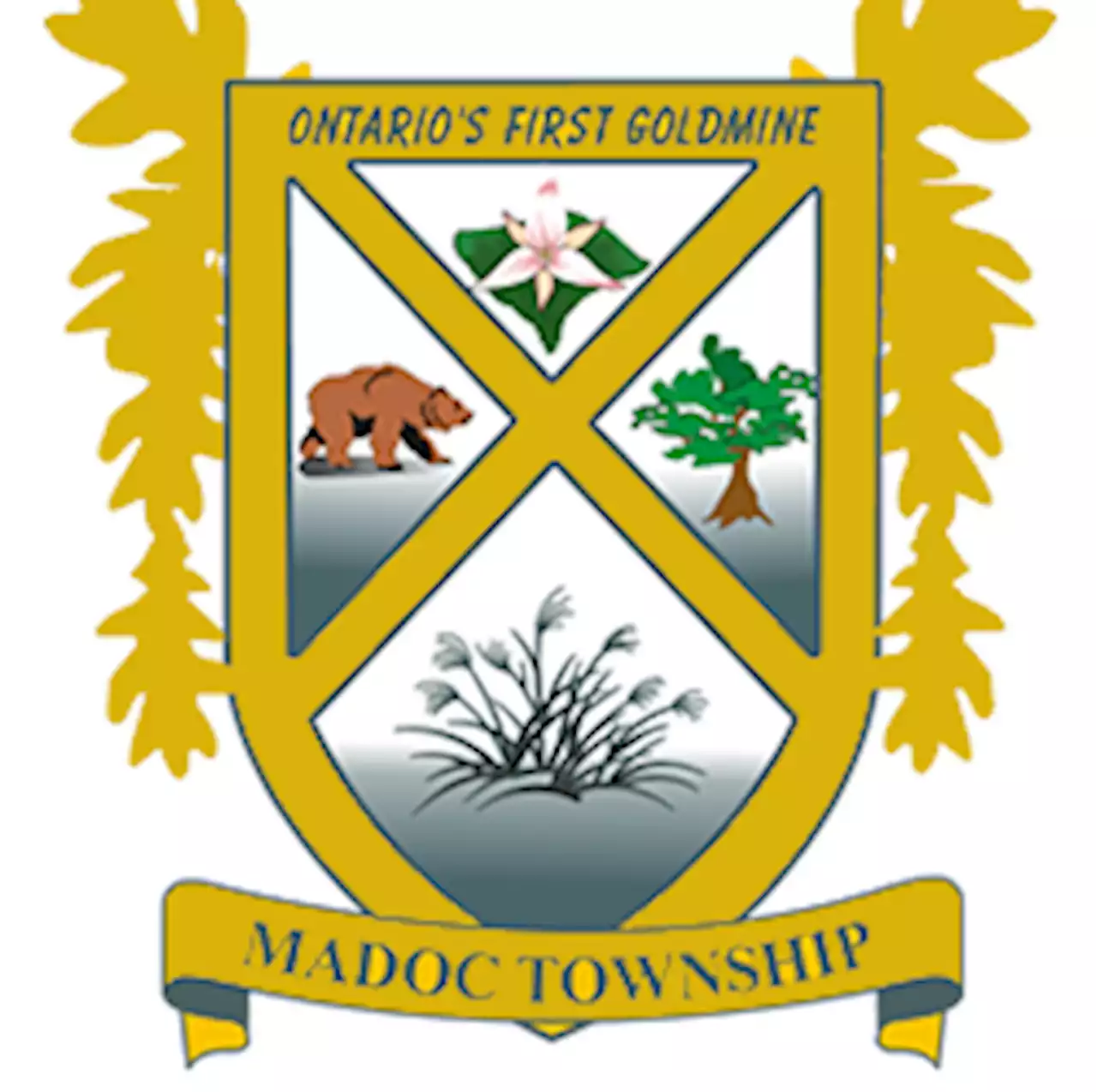 LOOK BACK: Madoc Township