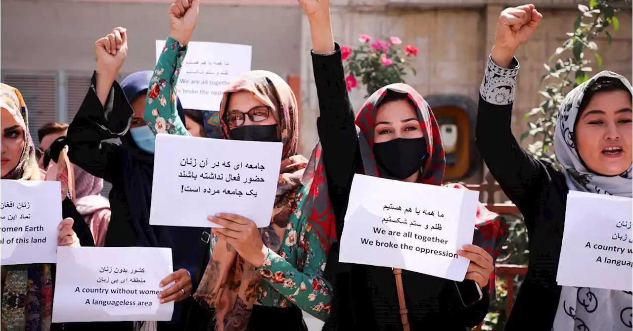 U.N. official meets Taliban, urges reverse of NGO female worker ban