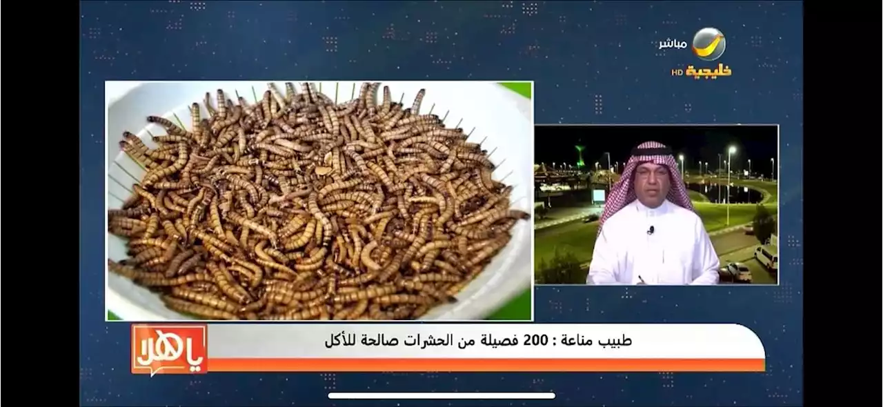 ‏متخصص في علم المناعة: بيئتنا المحلية ممتازة للحشرات الصالحة للأكل ومنها 'صرصور الحقل'