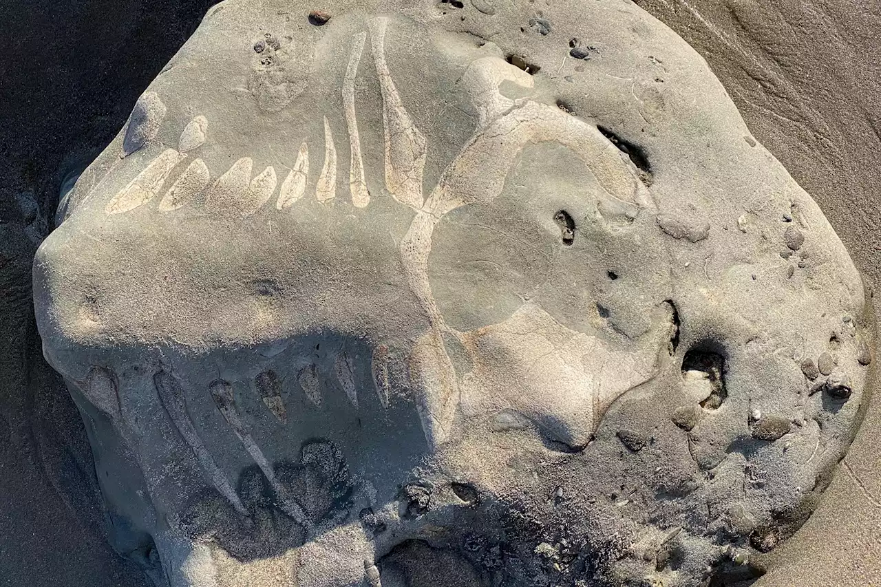 Low tides reveal mysterious object on California coast