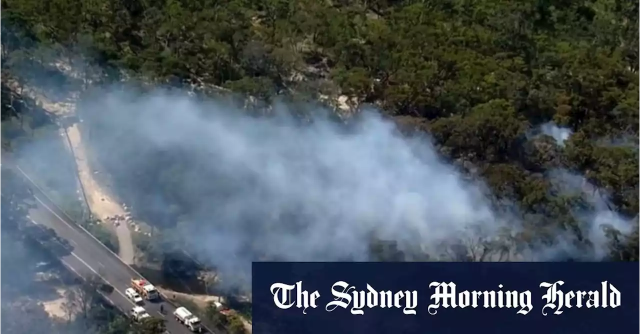 Two dead in light plane crash south-west of Sydney