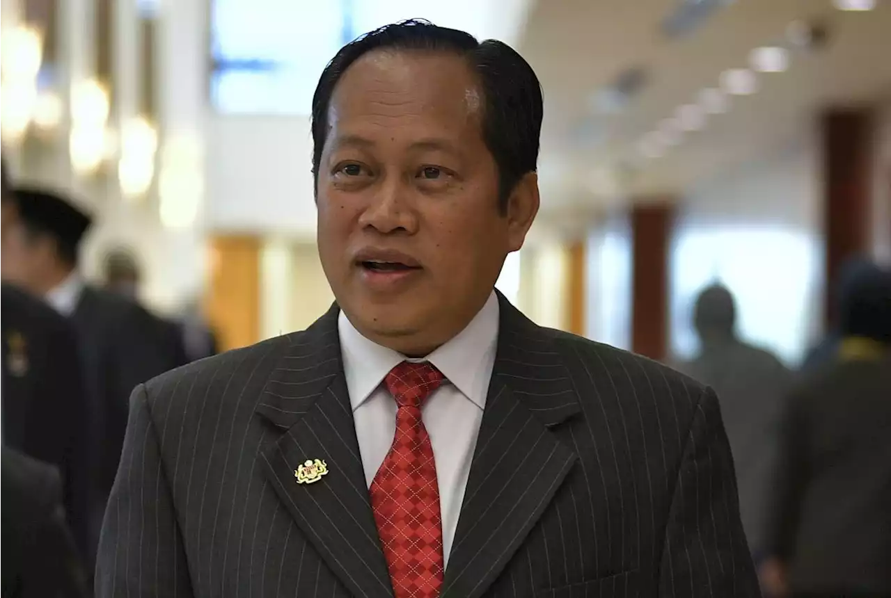 Ahmad Maslan: Special Umno general assembly next month to amend party constitution