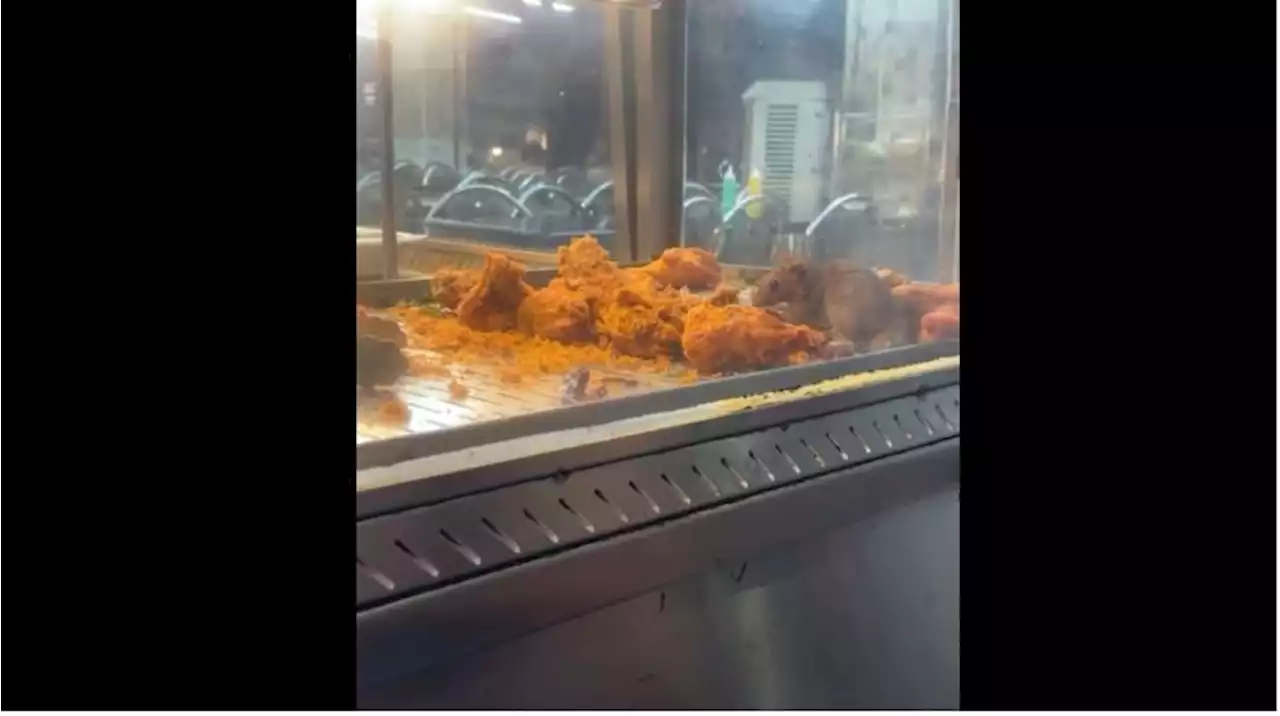 QuickCheck: Did a viral vermin video lead to the revocation of a KL restaurant’s licence?