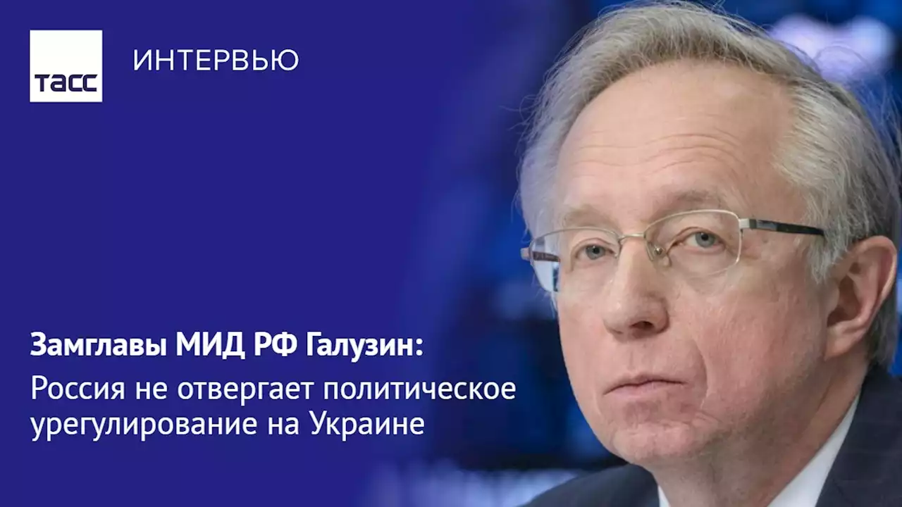 Замглавы МИД РФ Галузин: Россия не отвергает политическое урегулирование на Украине - Интервью ТАСС