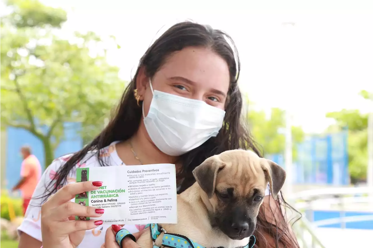 En Barranquilla, más de 203 mil perros y gatos vacunados durante 2022