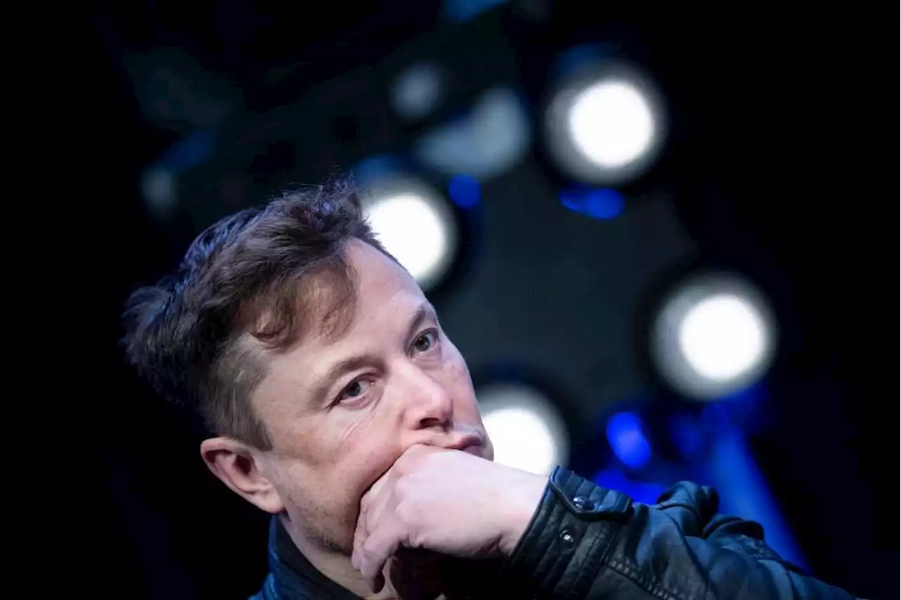 Elon Musk, da persona dell'anno 2021 alla 'più esasperante'