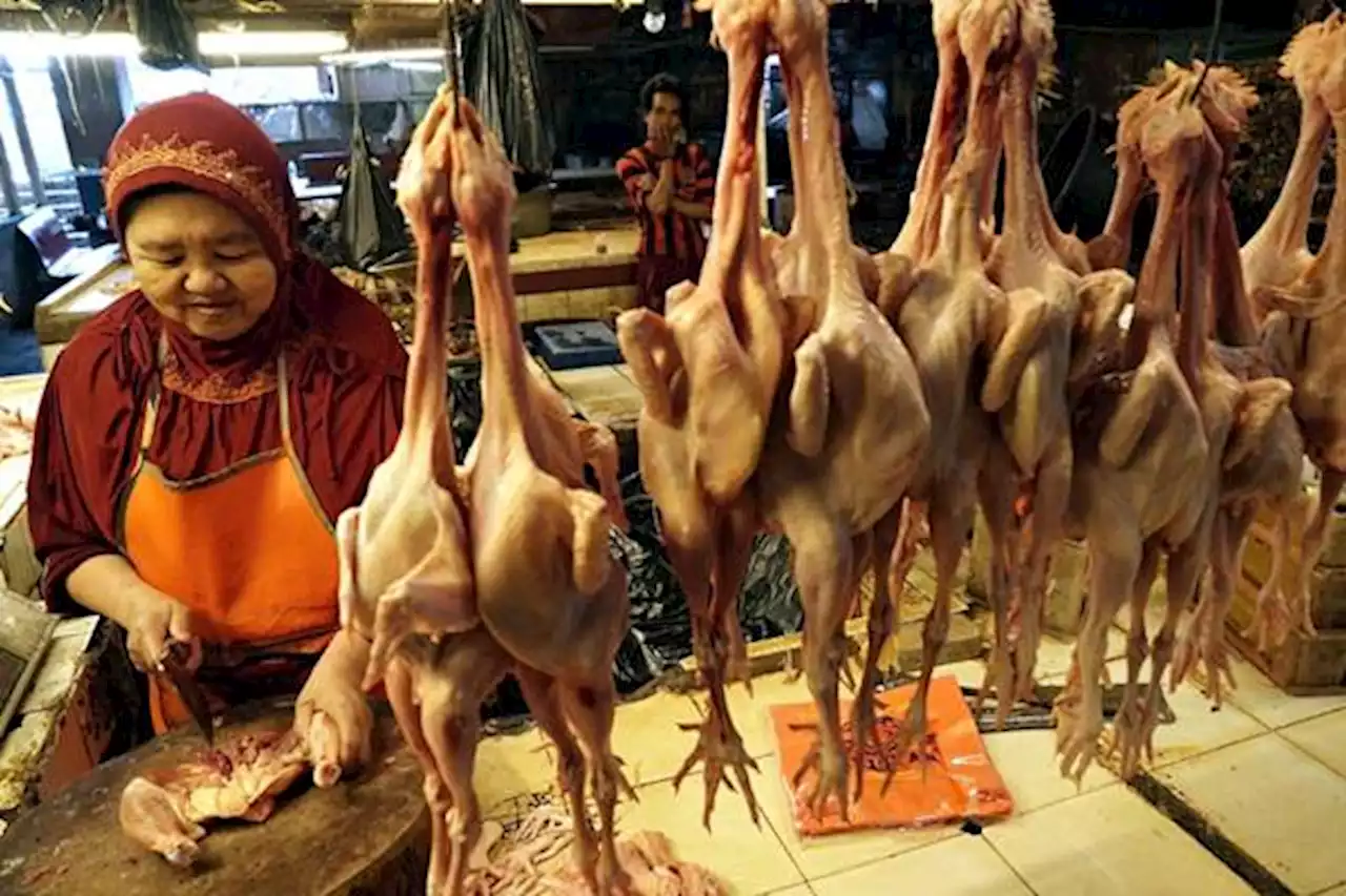 Harga Pangan H-4 Tahun Baru 2023, Daging Ayam dan Sapi Naik