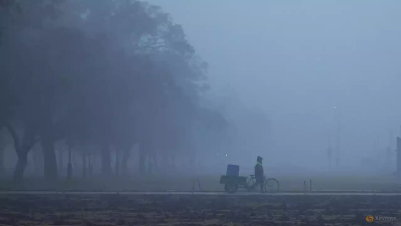 New Delhi fog disrupts air and rail travel