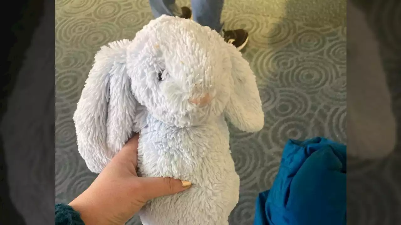 Lost stuffed bunny finds way home after holiday travel frenzy at YVR