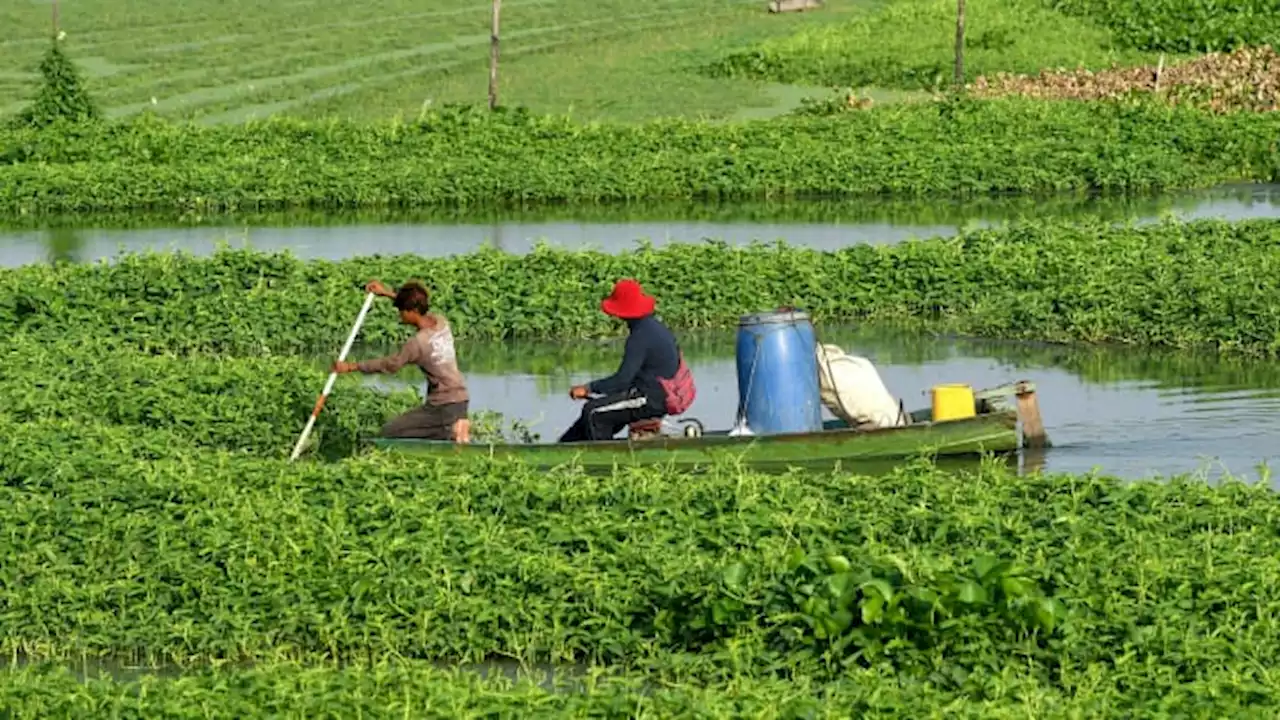 Hit by climate change, farmers in Cambodia are risking everything on microfinance loans