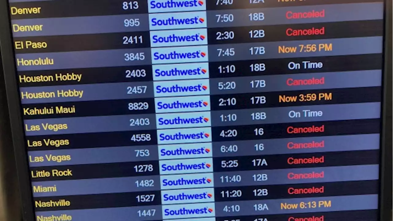 DOT to probe Southwest cancellations that stranded flyers