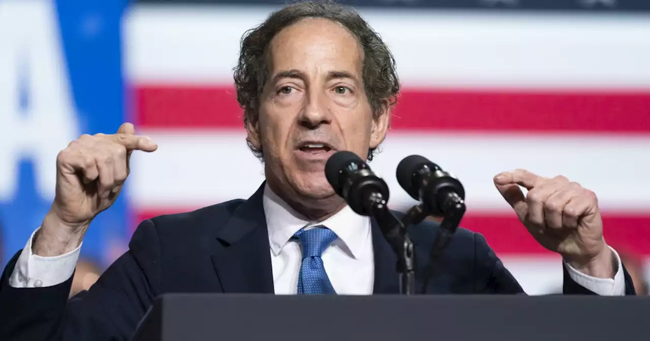 Election denier Jamie Raskin wants to protect our electoral system by destroying it