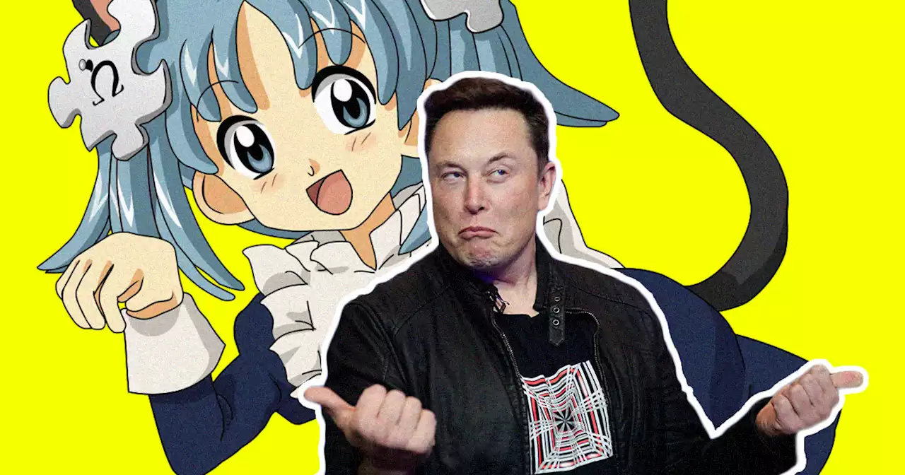 Elon Musk Says He Could Make 'Catgirl' Sex Robots If He Wanted To