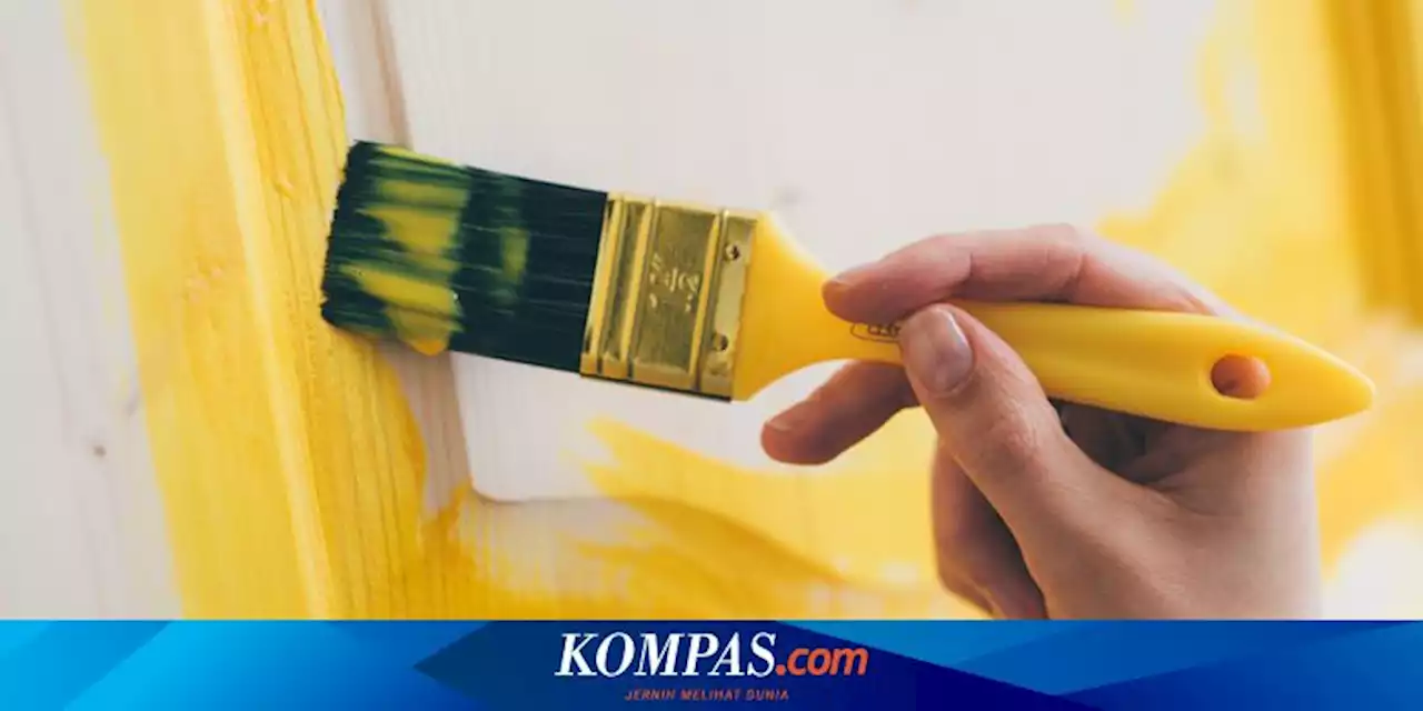 Apakah Harus Mengecat Pintu Sama dengan Warna Dinding?