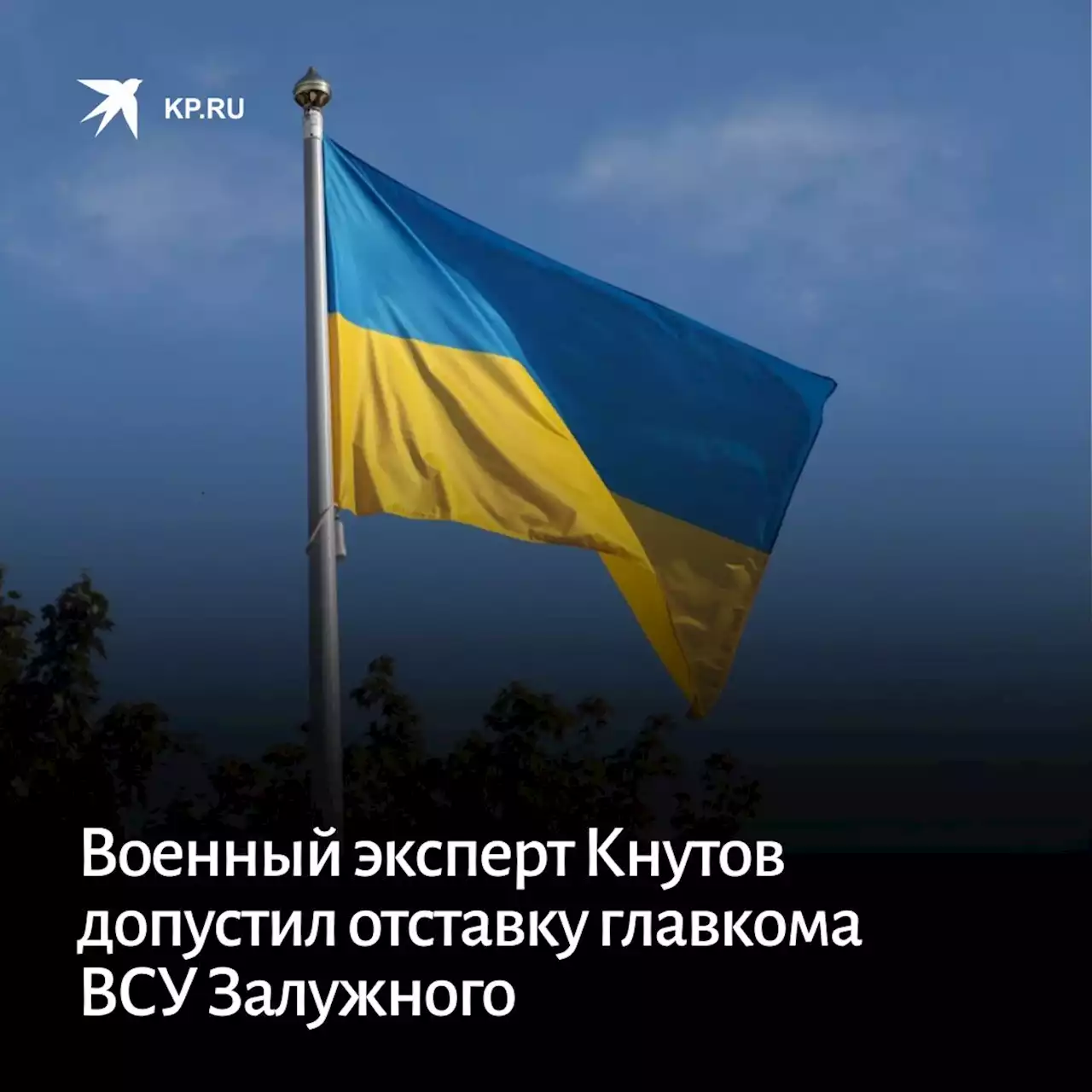 Военный эксперт Кнутов допустил отставку главкома ВСУ Залужного