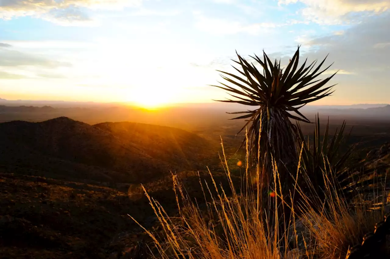 Here’s your 2023 timeline for California environmental issues